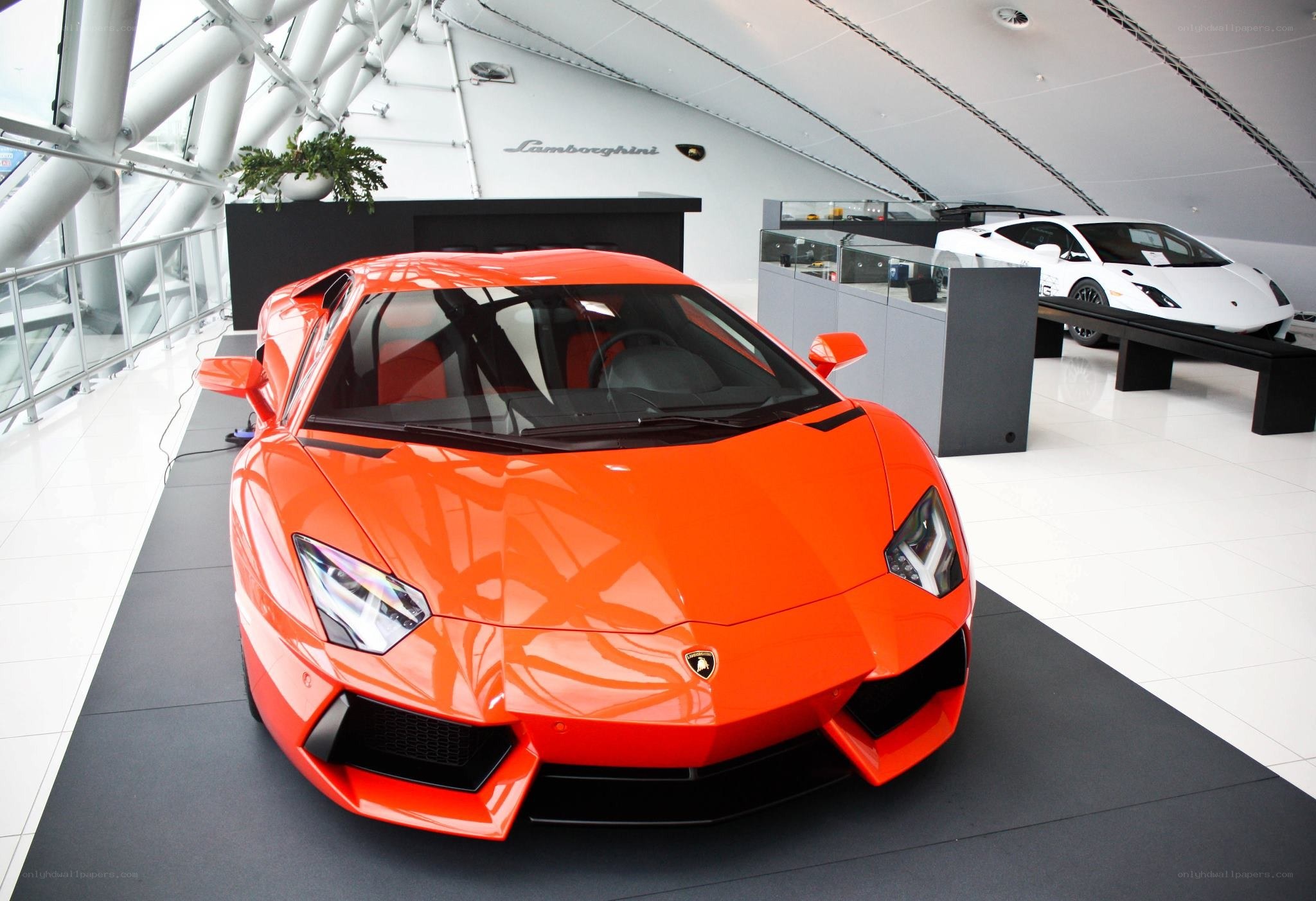 Orange Lamborghini in showroom