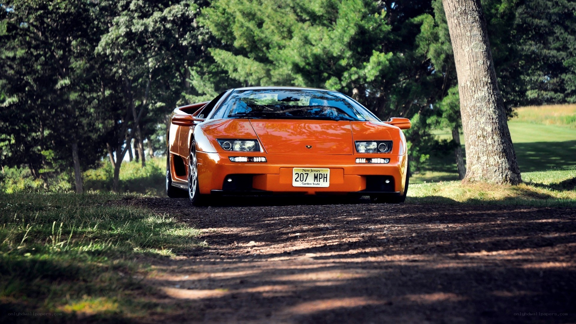 Orange Lamborghini on a dirt path