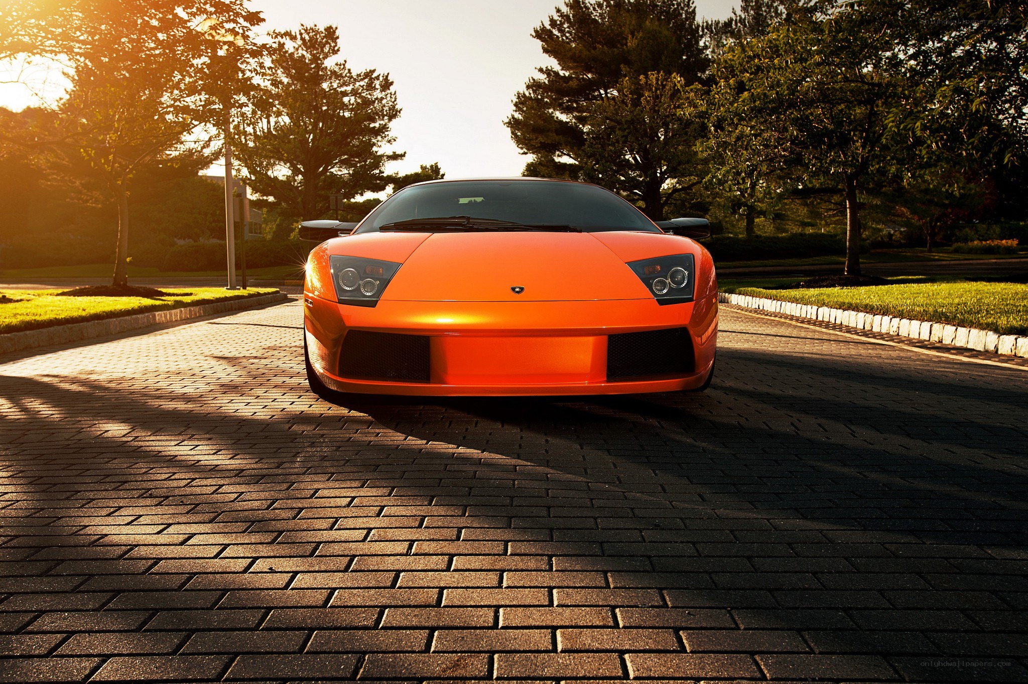 Orange Lamborghini on a driveway