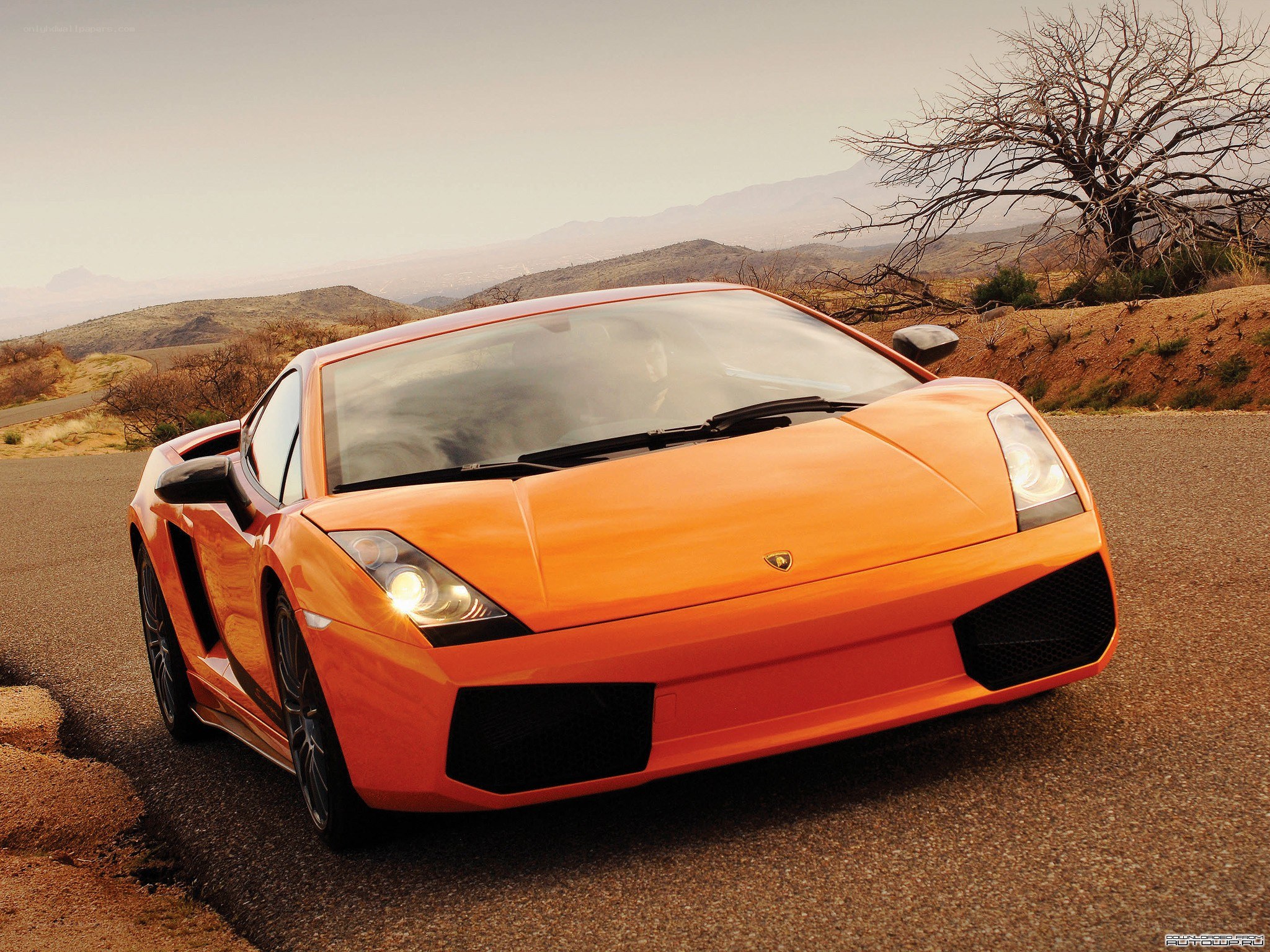 Orange Lamborghini on desert road