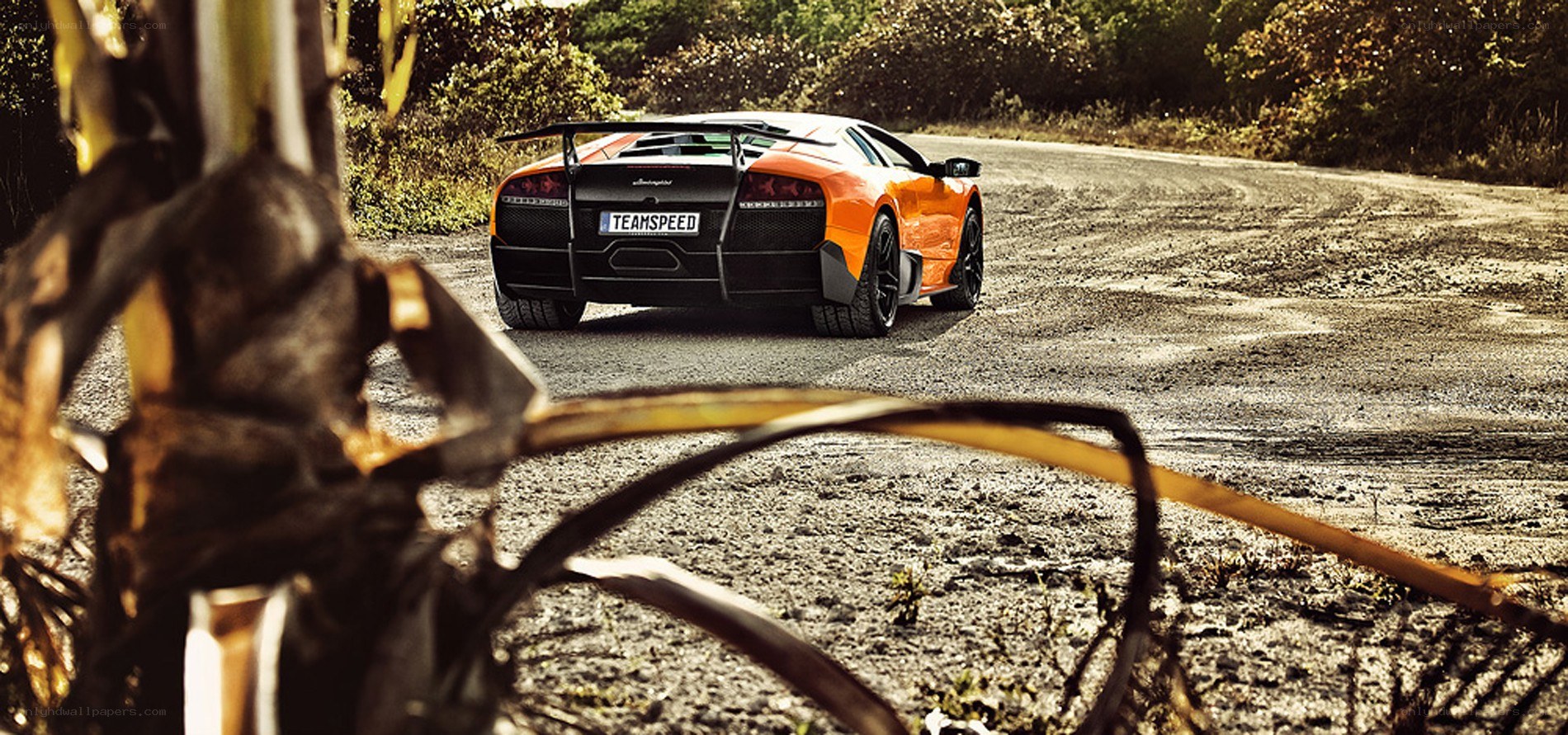 Orange Lamborghini on dirt road
