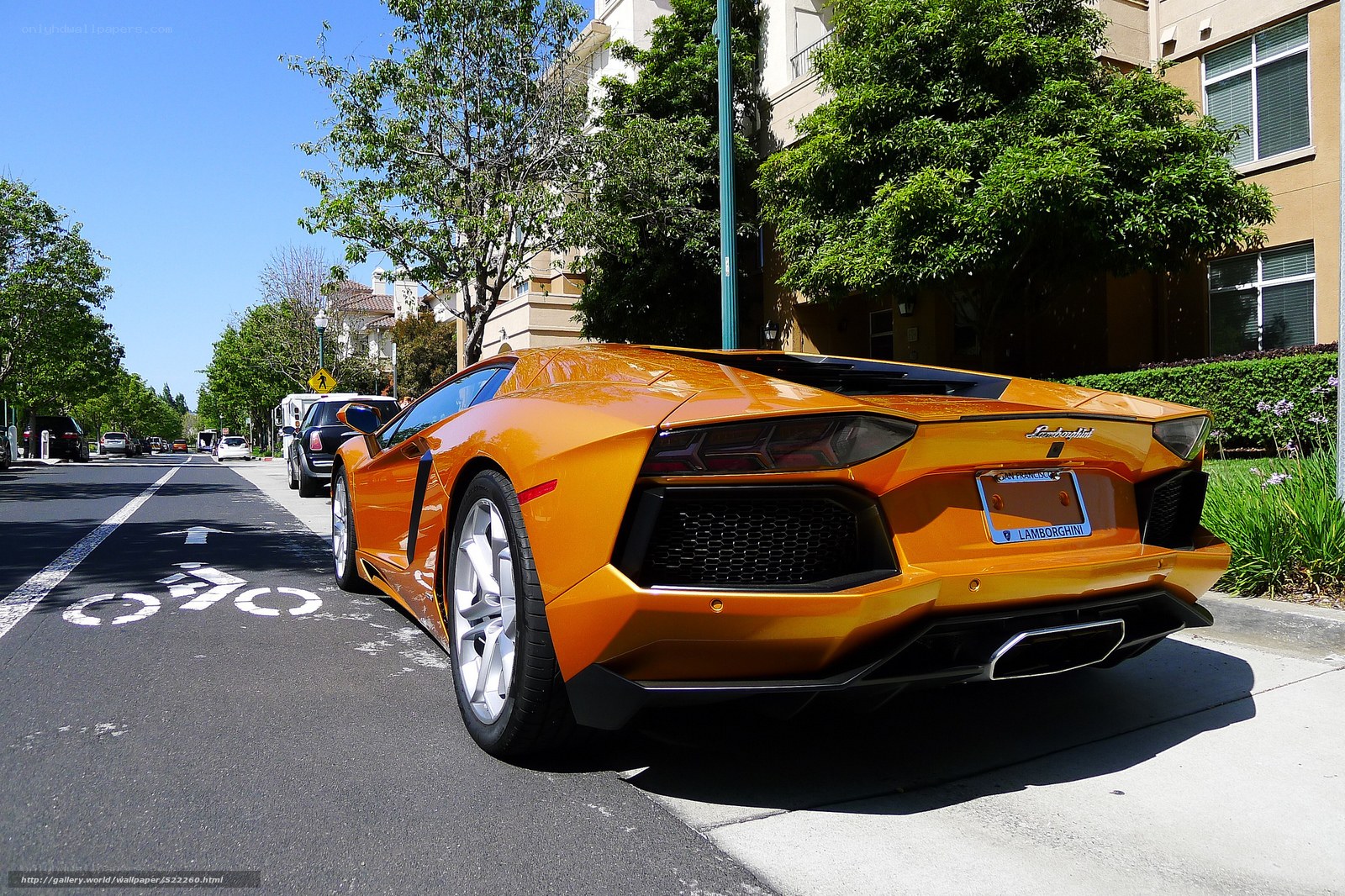 Orange Lamborghini parked on street