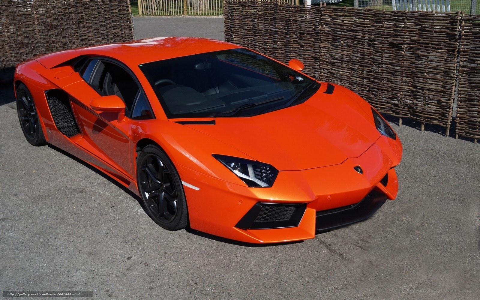 orange Lamborghini sports car