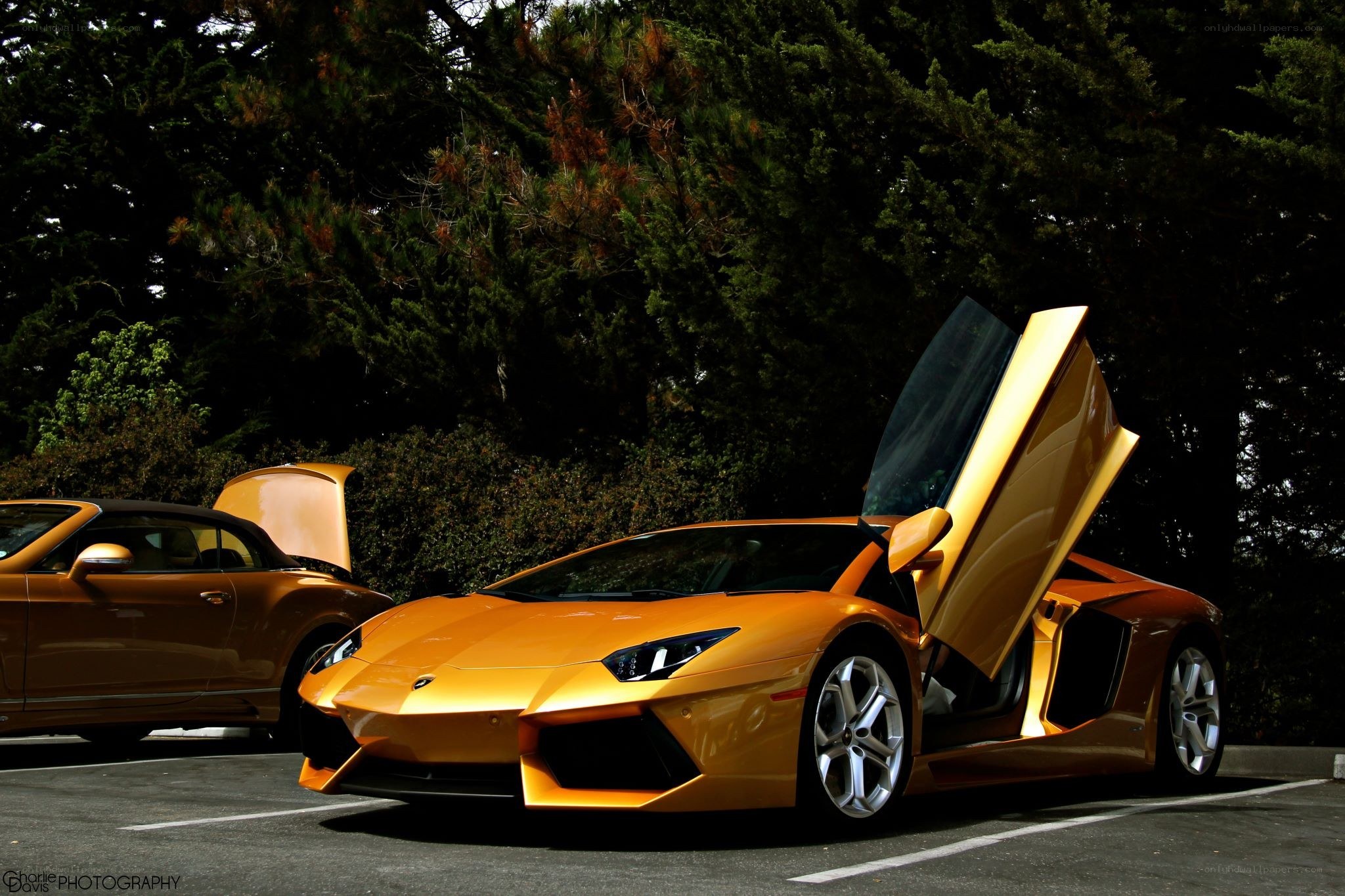 Orange Lamborghini with doors open