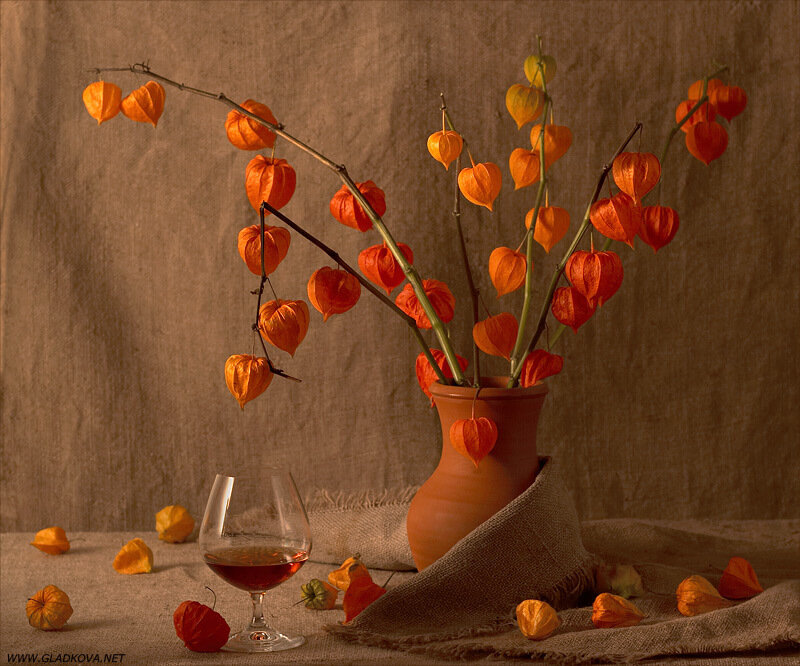 Orange Lantern Plants in Vase