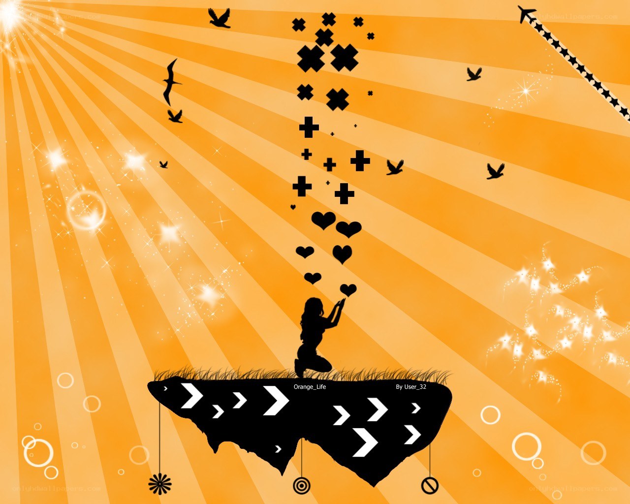 Orange Life artwork