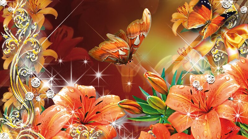 Orange Lilies and Butterflies