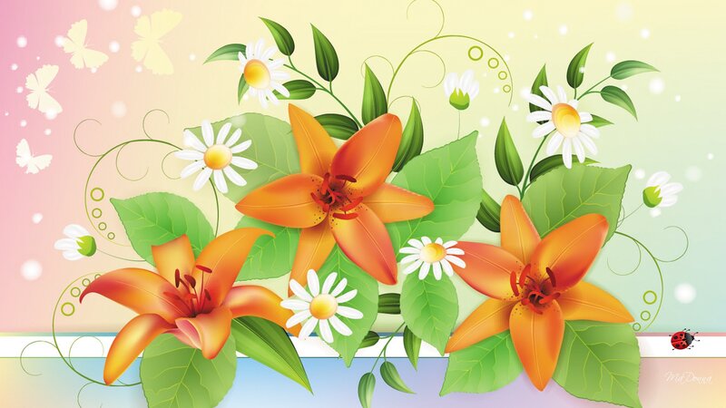 Orange Lilies and Daisies