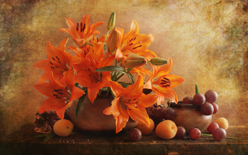 Orange Lilies and Fruit — Calm