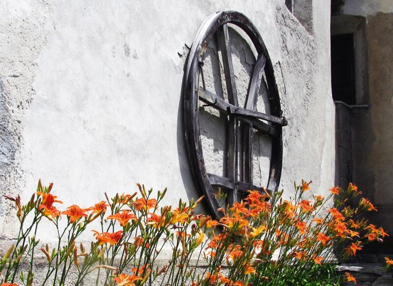 Orange Lilies by Wall