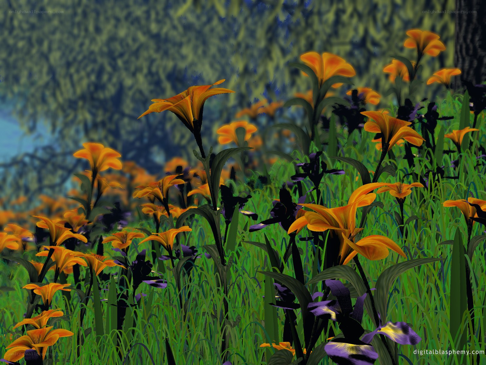 Orange lilies in a forest