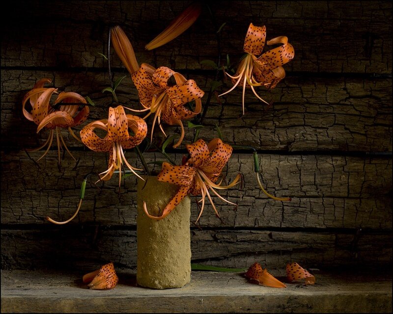 Orange lilies in a vase