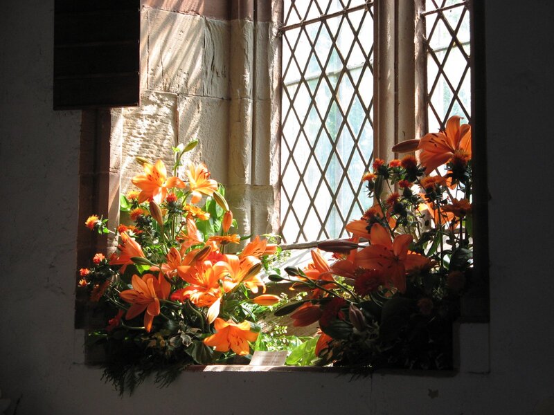 Orange Lilies in Window