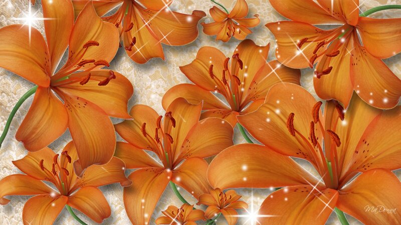 Orange Lilies on Lace