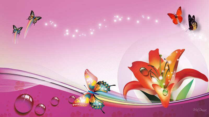 Orange Lily and Butterflies
