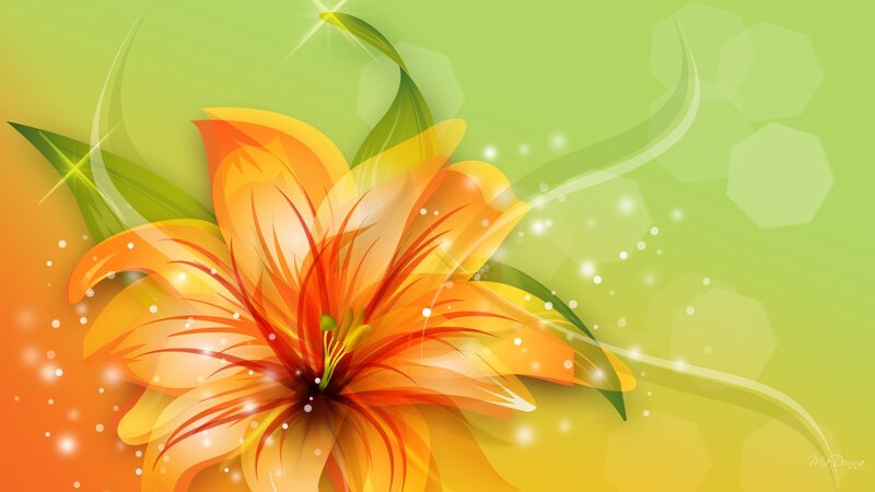 Orange Lily Flower — Green