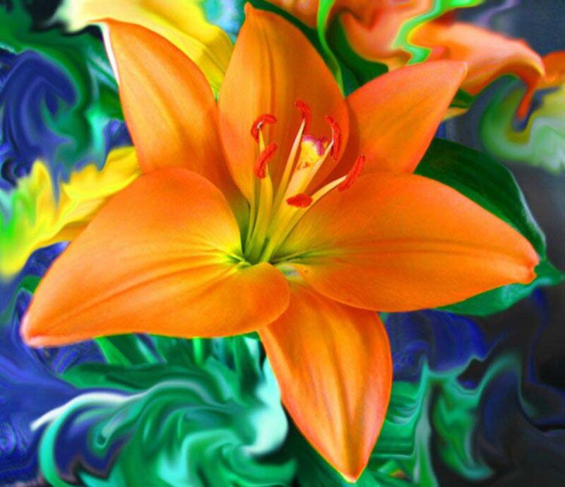 Orange Lily Flower — Vibrant, Digital Art, Petals