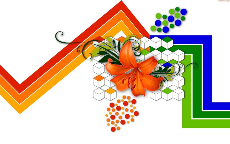 Orange Lily Flower — Vibrant, Digital Art