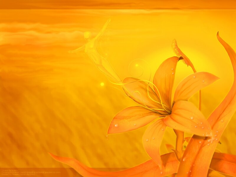 Orange Lily Flower — Yellow, Serene, Sunset, Digital Art
