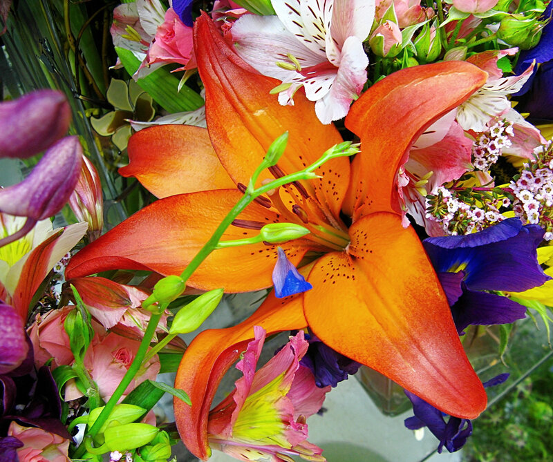 Orange Lily in Bouquet