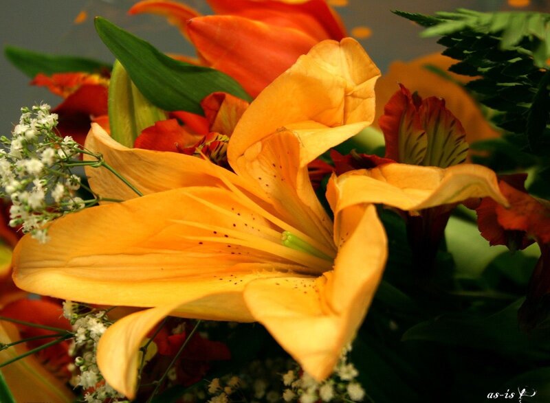 Orange lily in floral arrangement