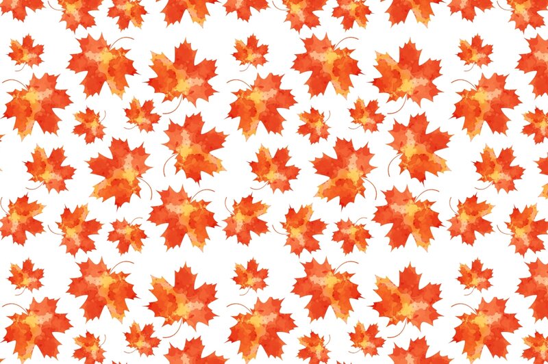 Orange Maple Leaves
