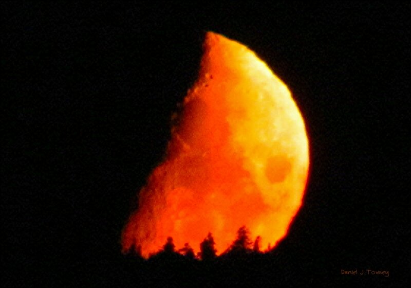 Orange Moon Rising