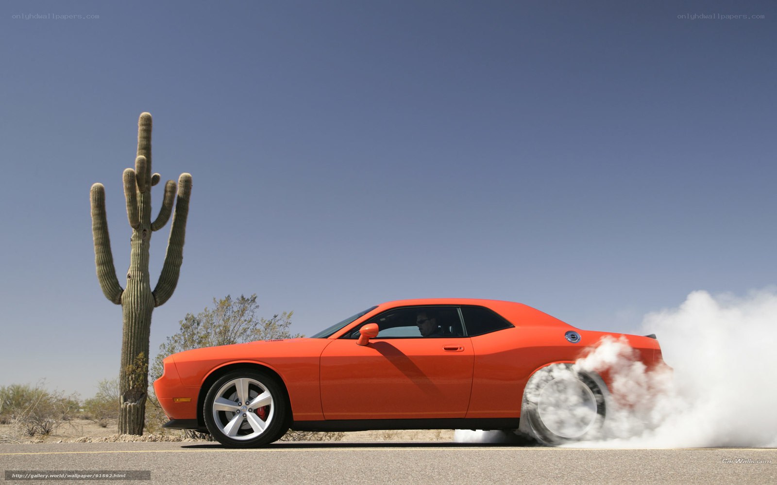 Orange muscle car burnout