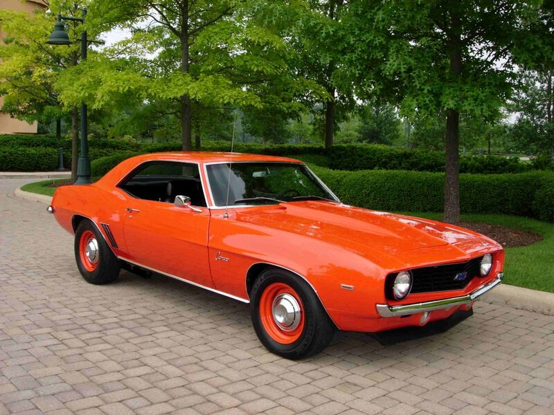 Orange Muscle Car — Calm, Afternoon, Photograph, Trees, Hedge