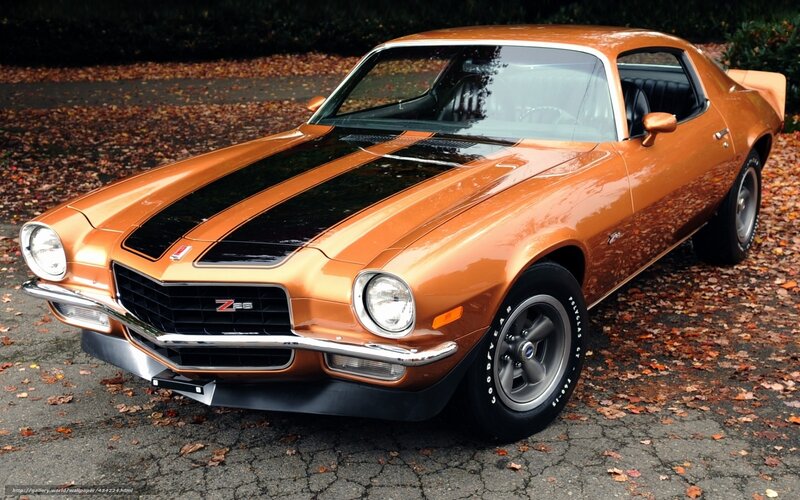 Orange Muscle Car — Calm, Autumn, Photograph, Black Stripes