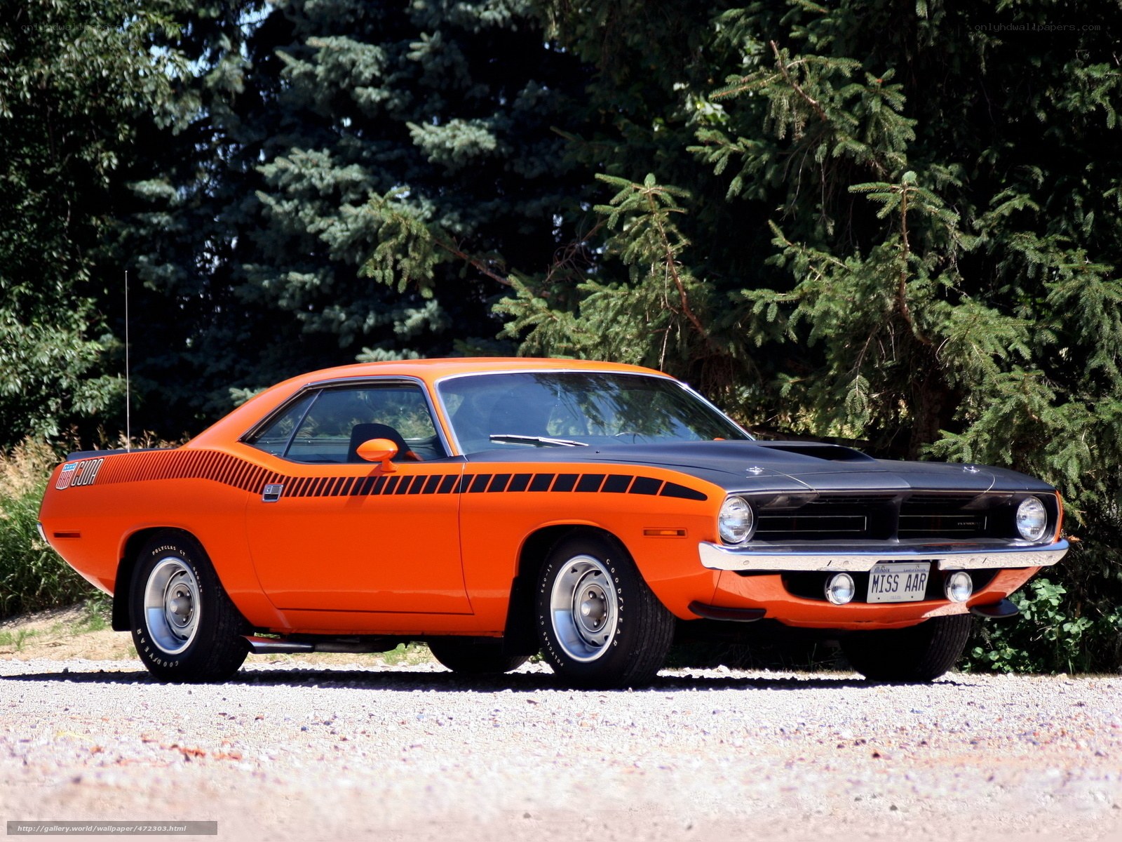Orange muscle car in forest