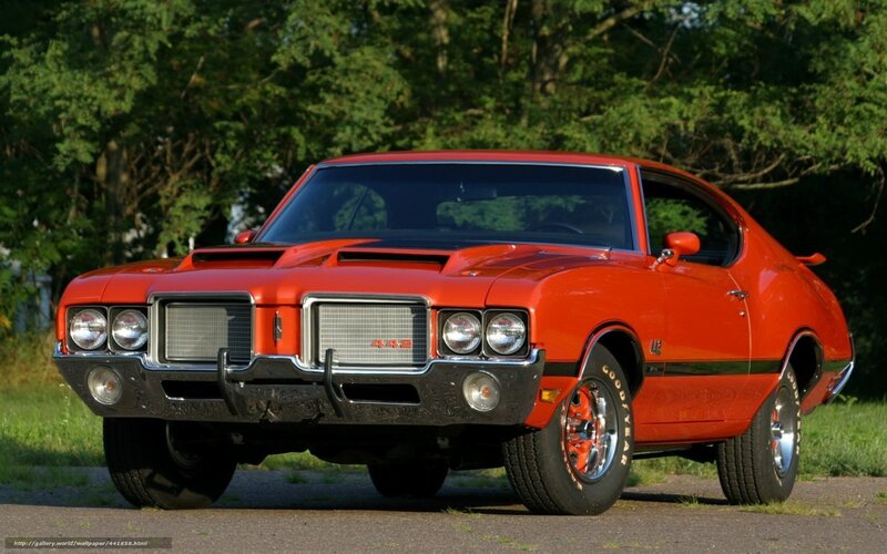 Orange Muscle Car — Red, Calm, Afternoon, Photograph, Trees, Grass