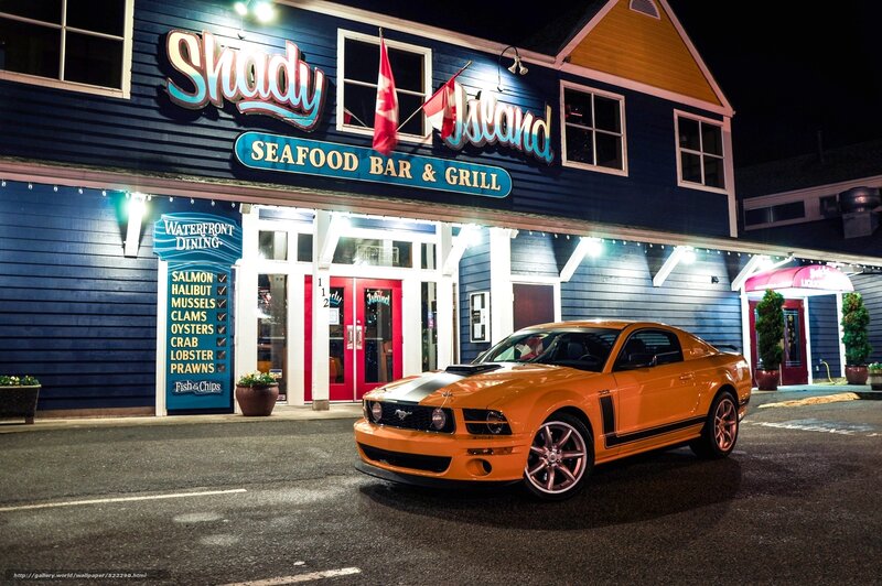 Orange Mustang at Shady Island