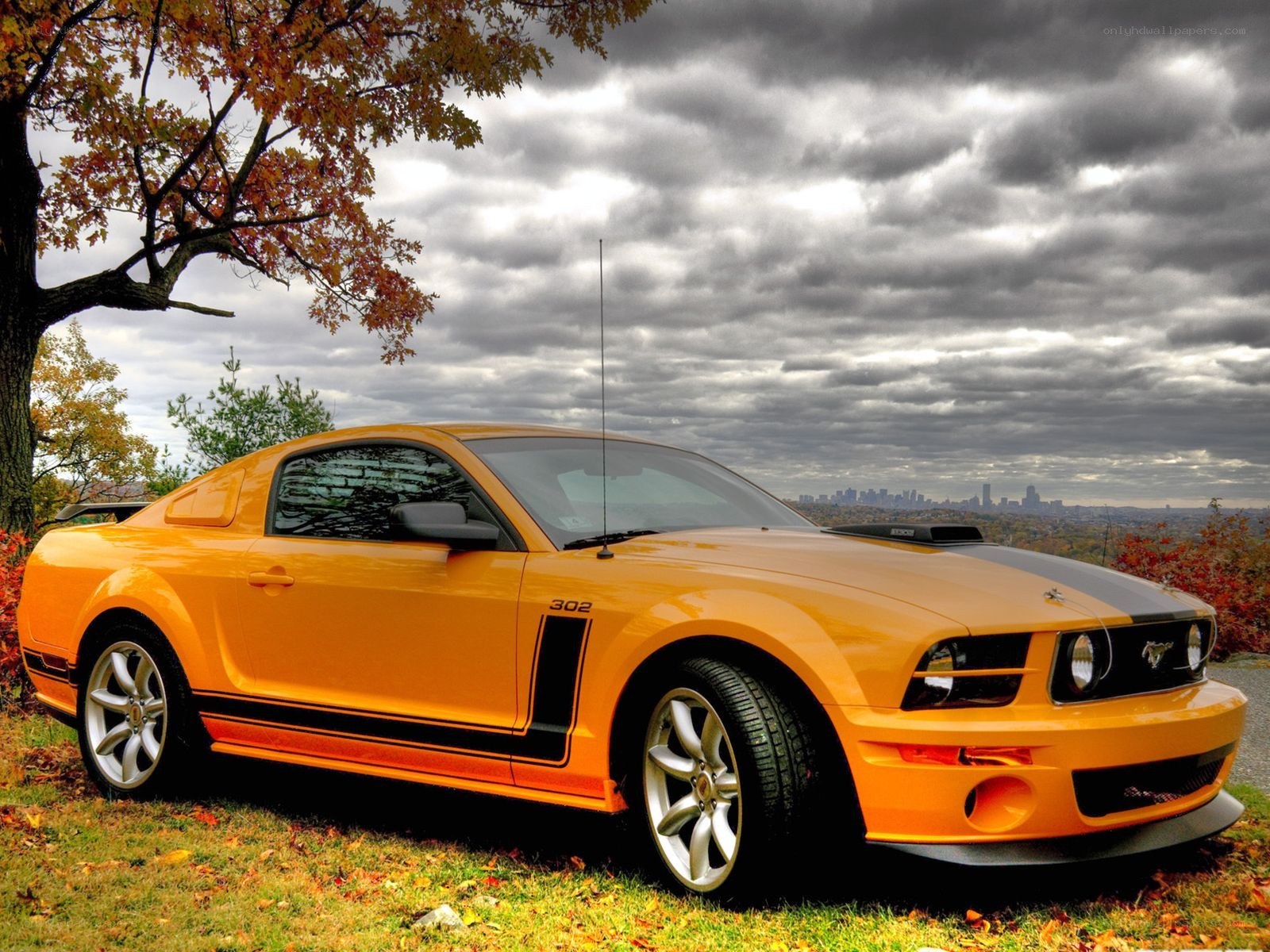 Orange Mustang on a hill