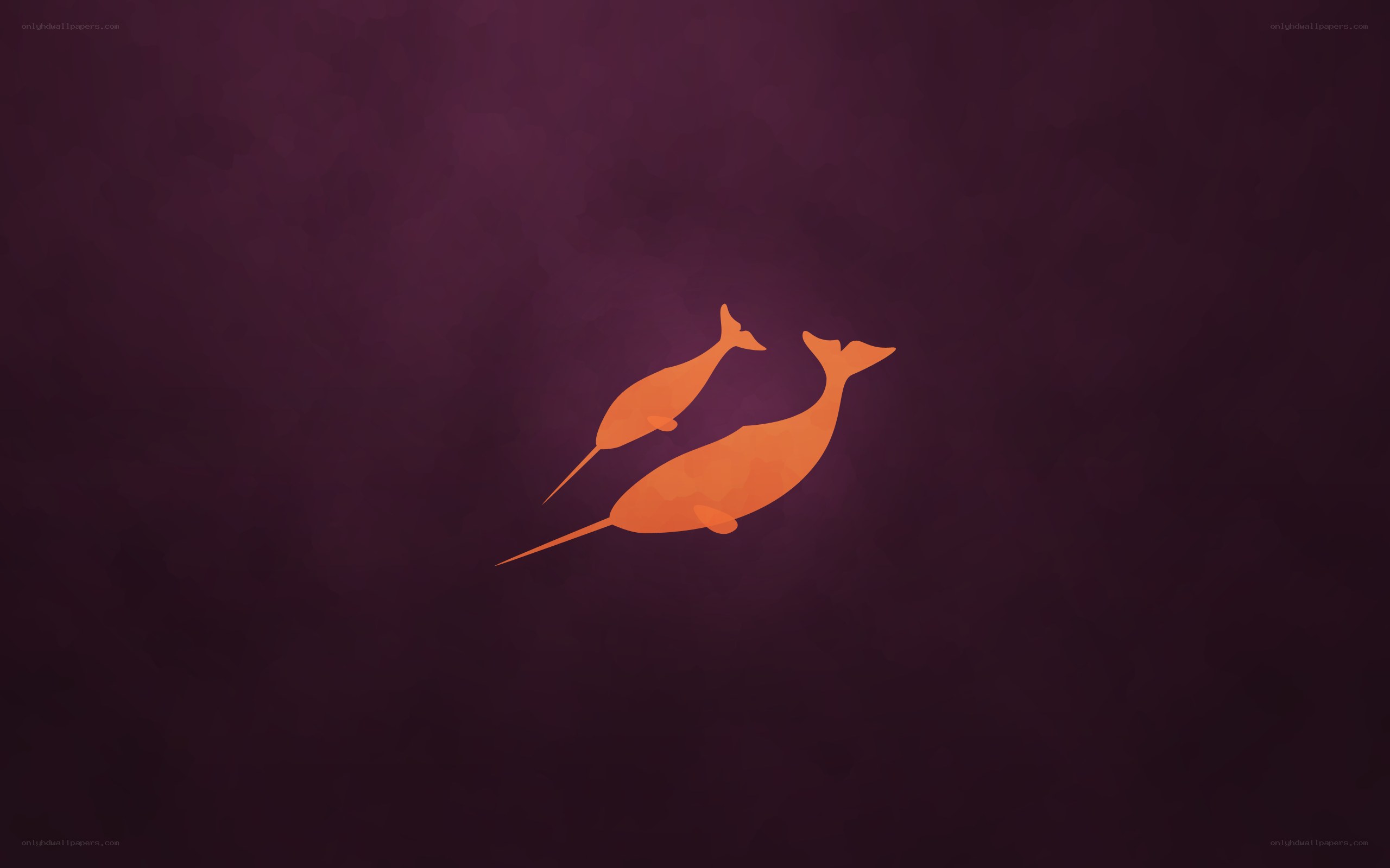 orange narwhals on purple