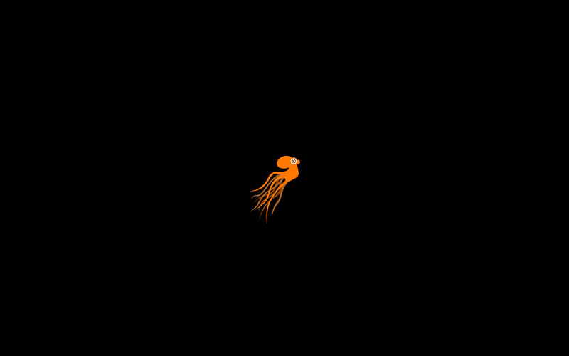 orange octopus on black