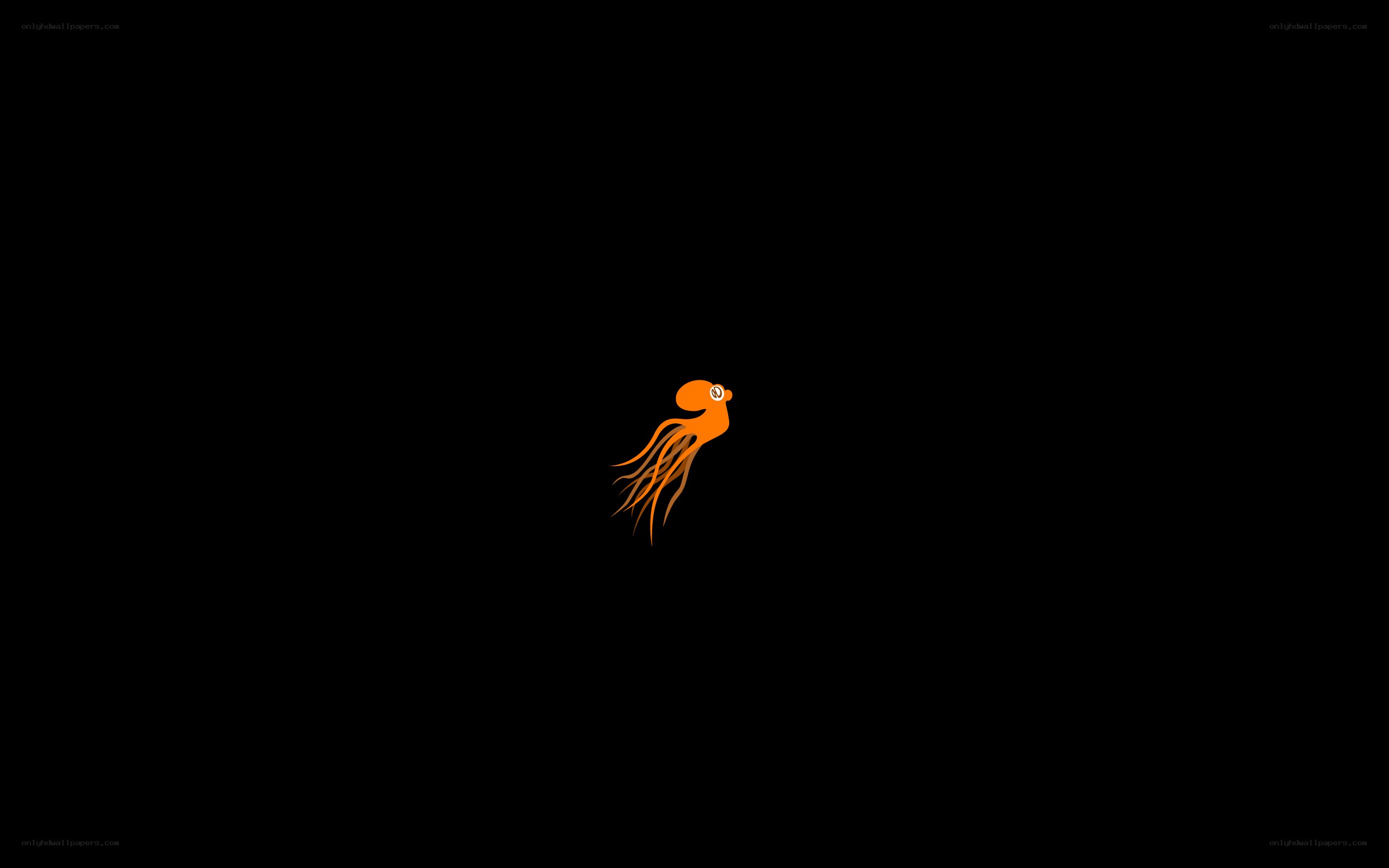 orange octopus on black