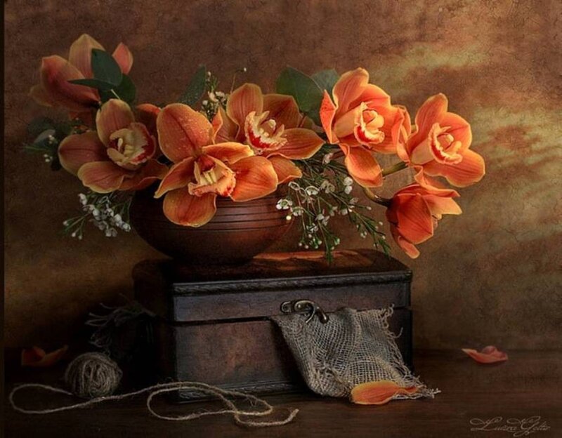 Orange Orchids in Vase