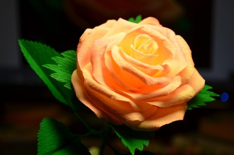 Orange Paper Rose