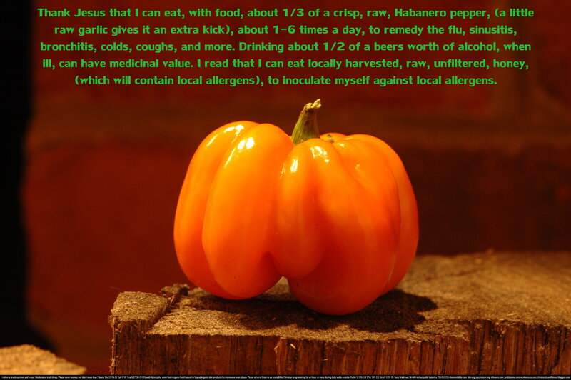 Orange Pepper on Wood