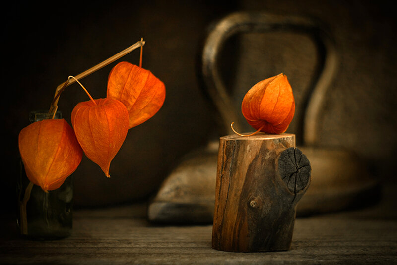 Orange Physalis Fruits