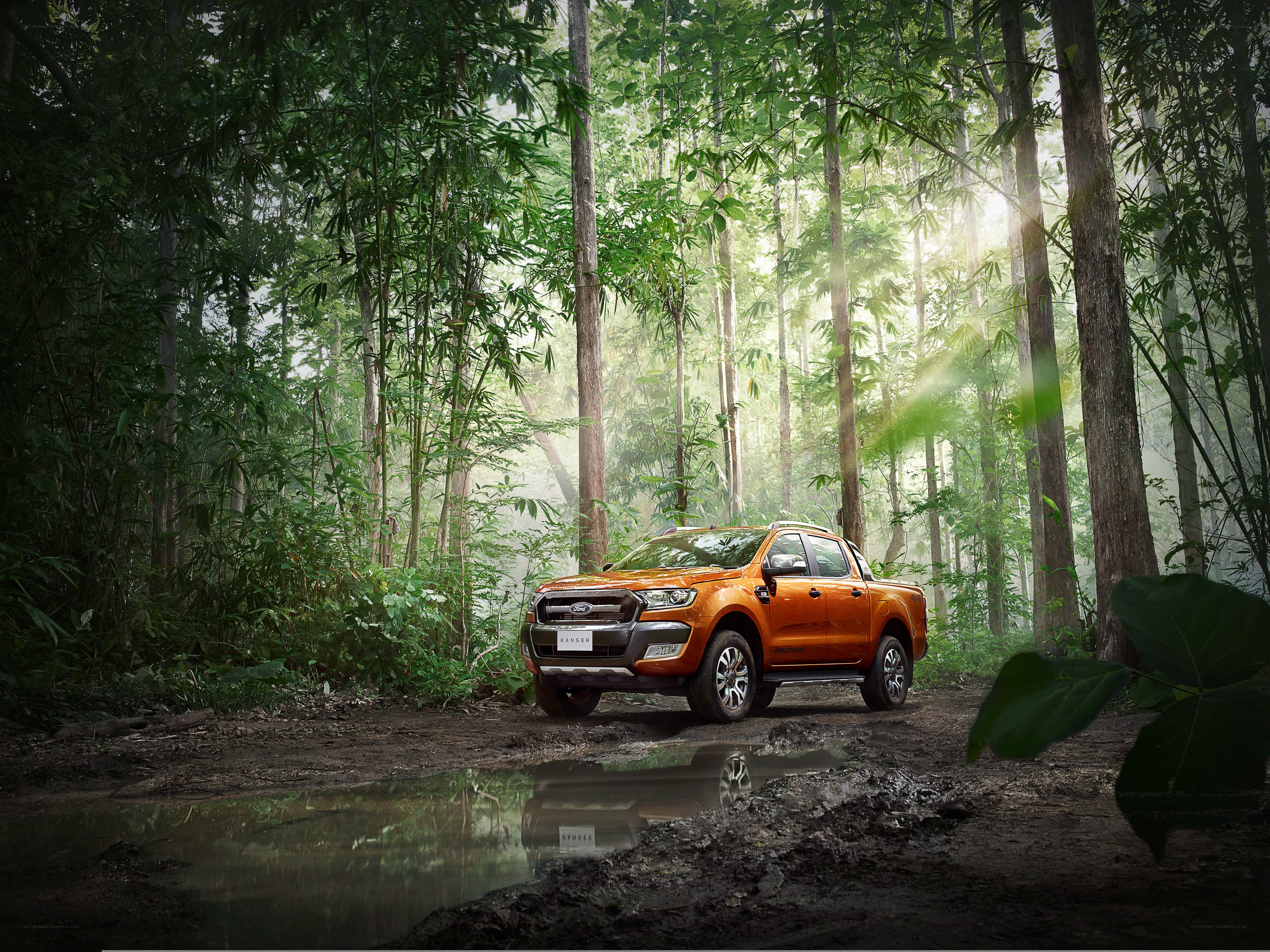 Orange pickup in forest