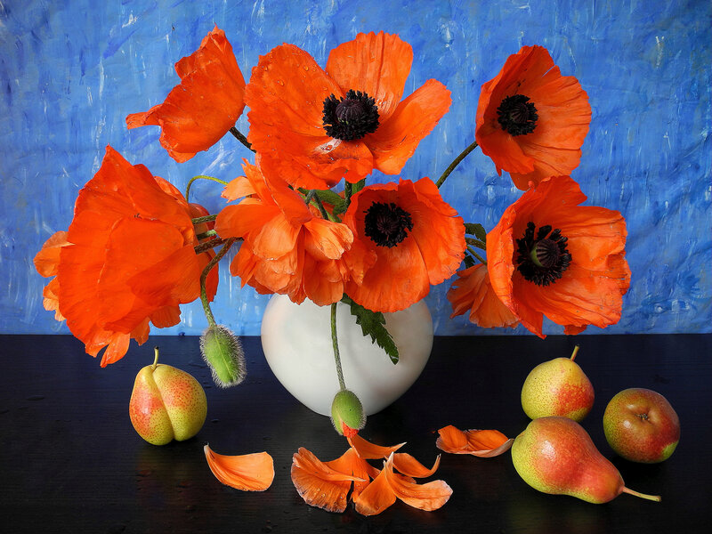 Orange Poppies and Pears — Dramatic