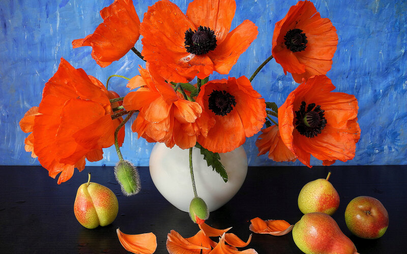 Orange Poppies and Pears