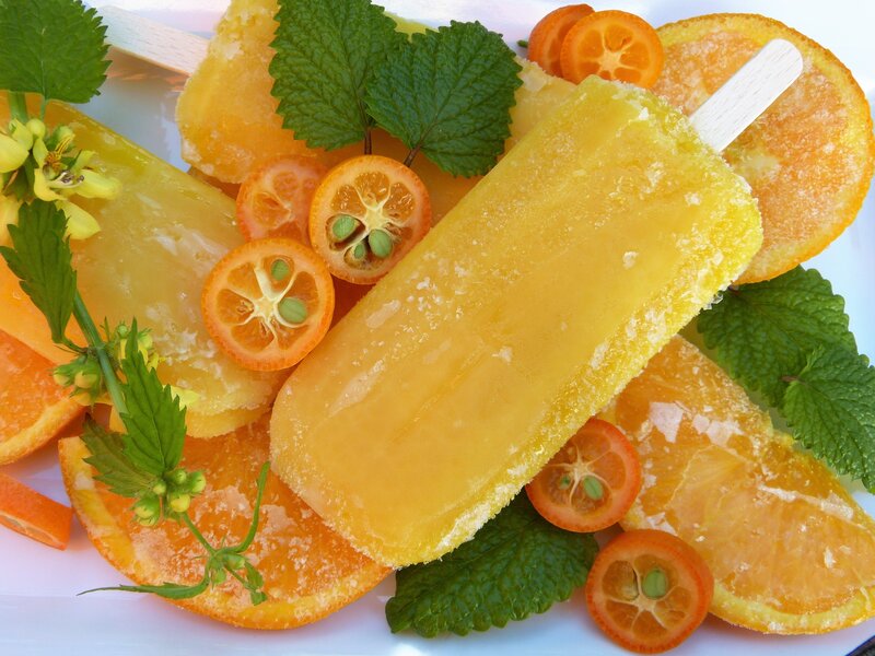 orange popsicles with fruit