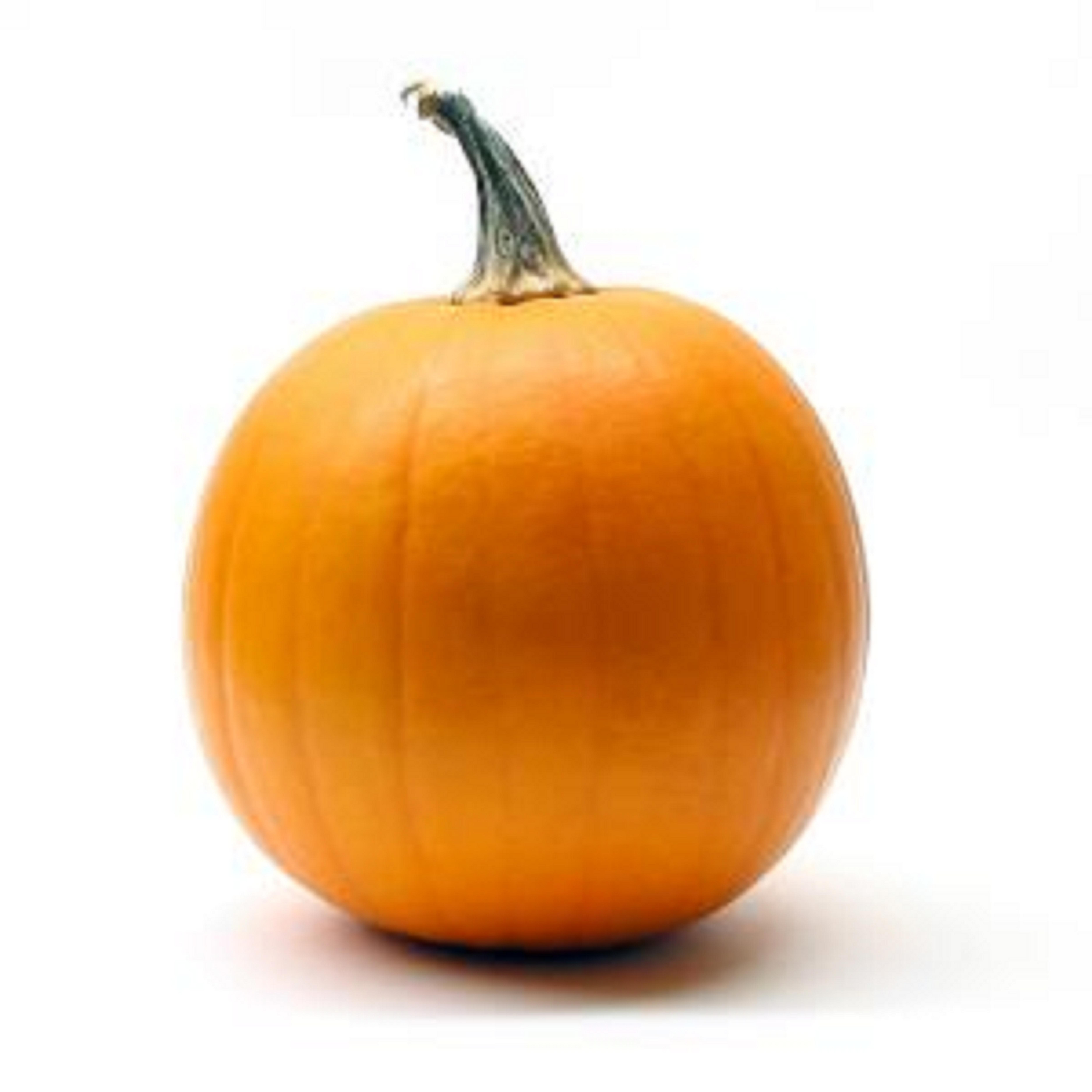 orange pumpkin on white