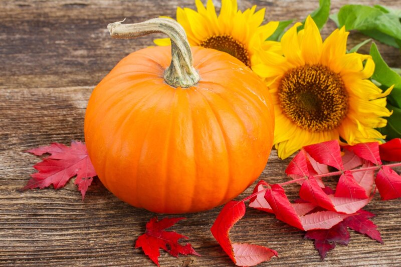 Orange Pumpkin on Wood