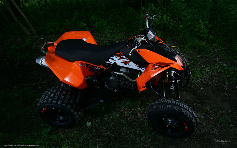 orange quad bike in forest
