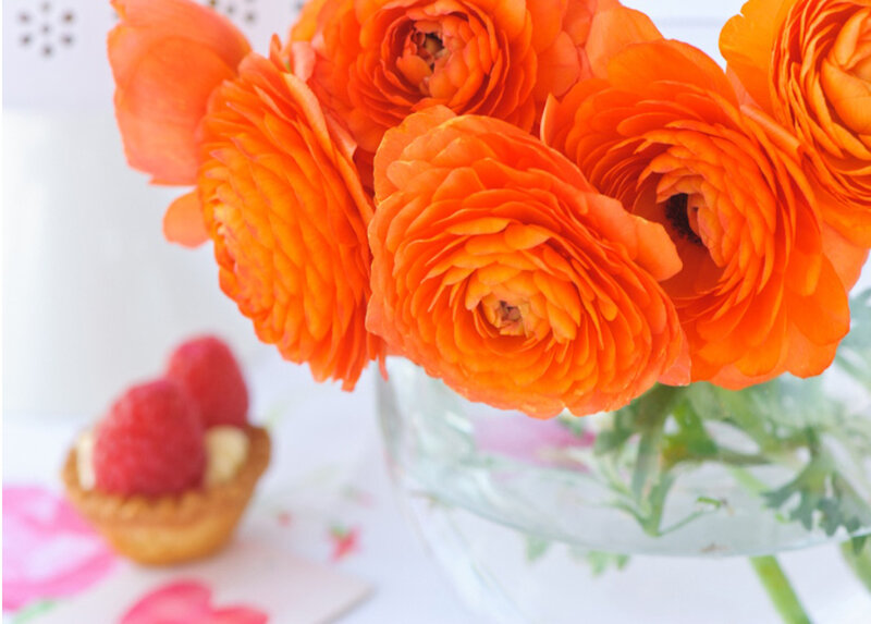 Orange Ranunculus Flowers — Bright