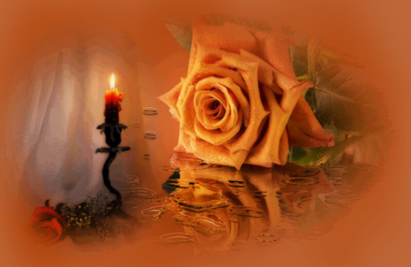 Orange Rose and Candle